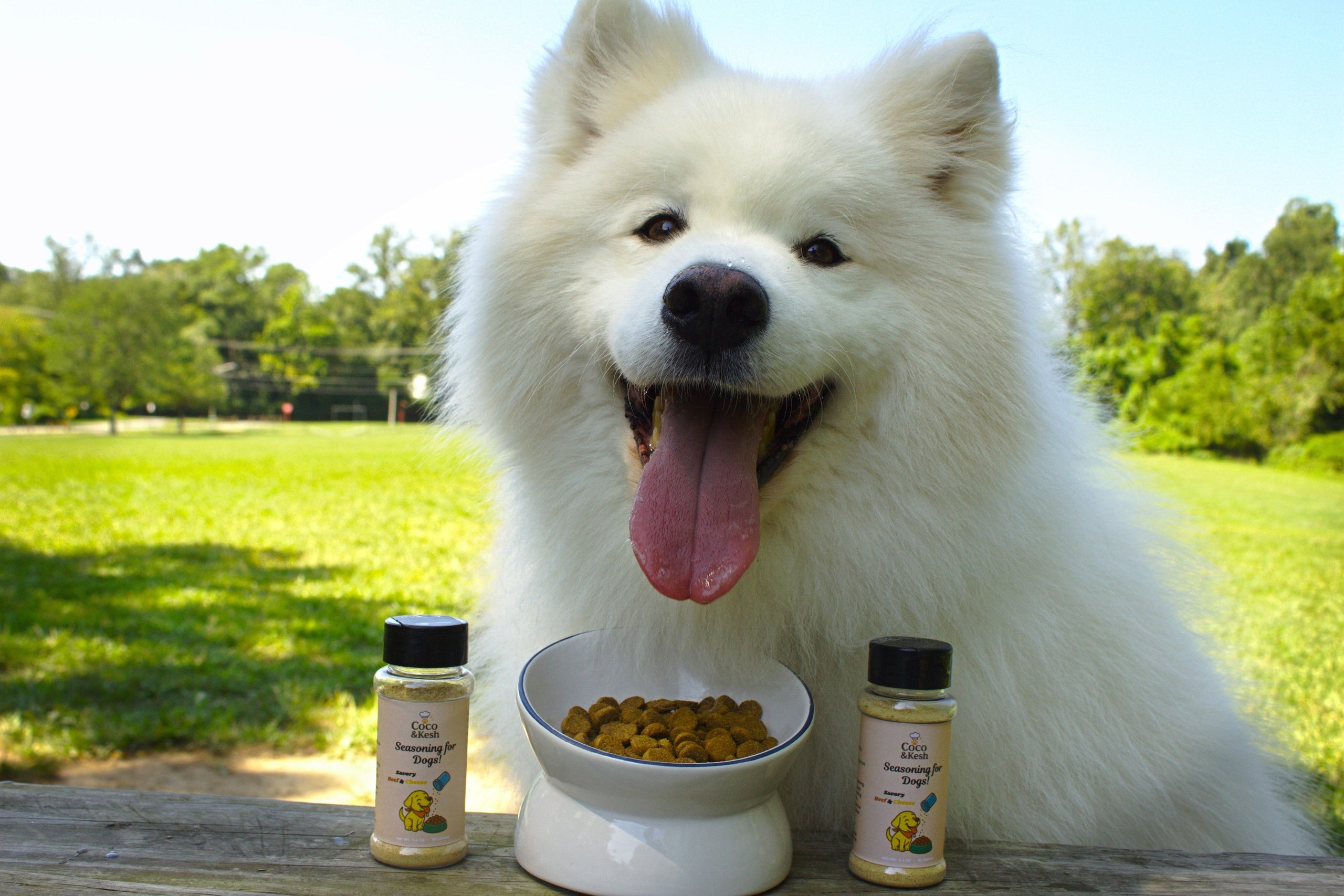 Seasoning for Dogs