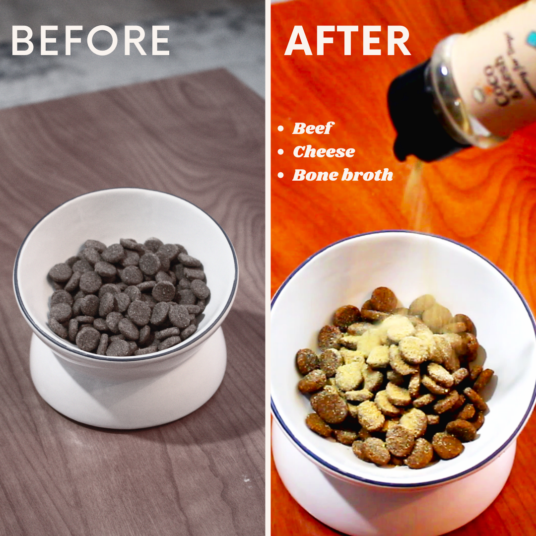 The Seasoning for Dogs (Topper) | Beef and Cheese